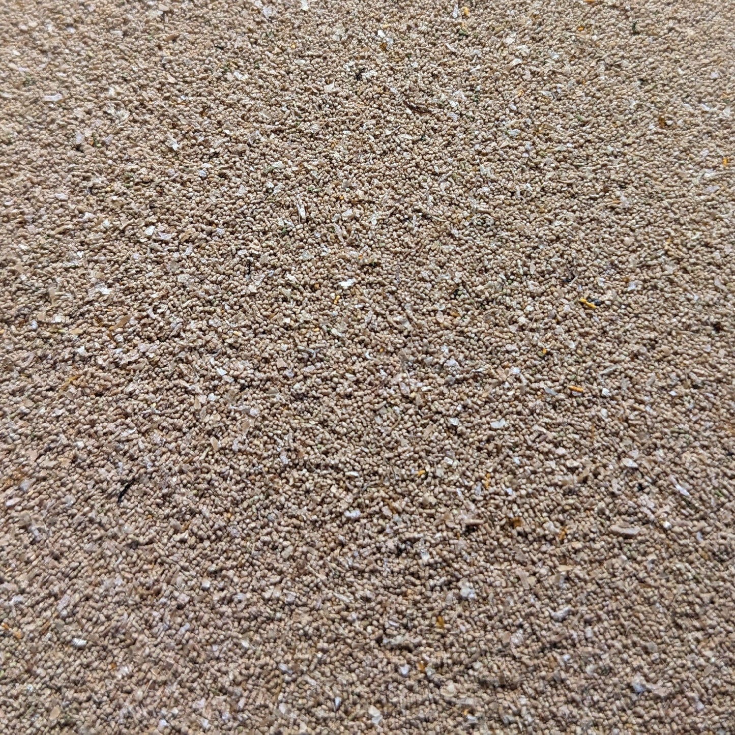 Close-up of Mealworm Frass